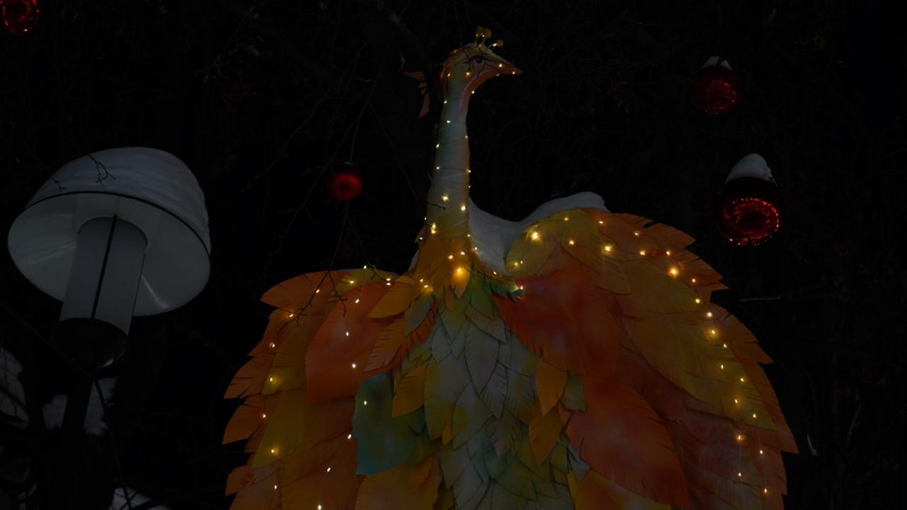 Световая птица в городском оформлении